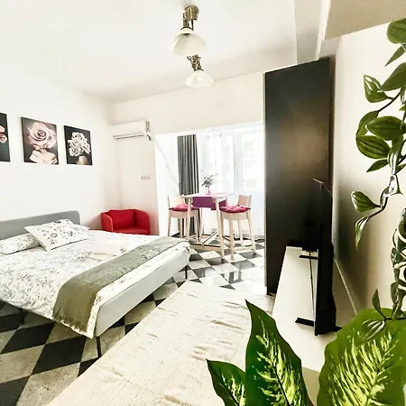 Victoriei Spacious Studio Bucharest Exterior photo