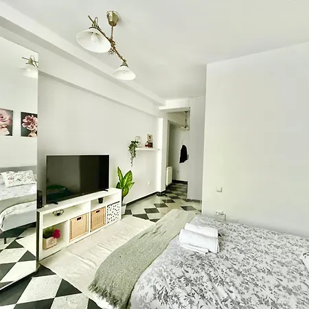 Victoriei Spacious Studio Bucharest Exterior photo