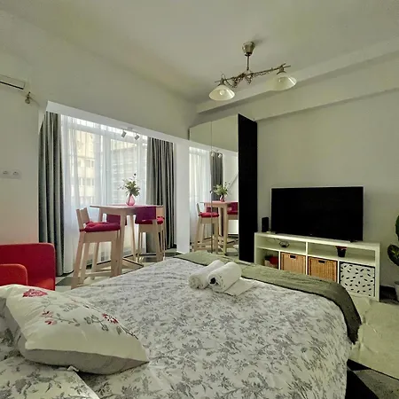 Victoriei Spacious Studio Bucharest Exterior photo