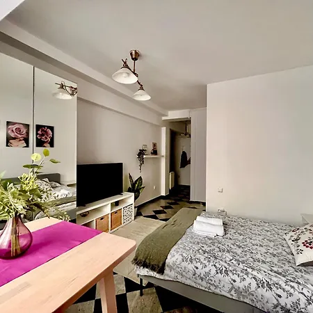 Victoriei Spacious Studio Bucharest Exterior photo