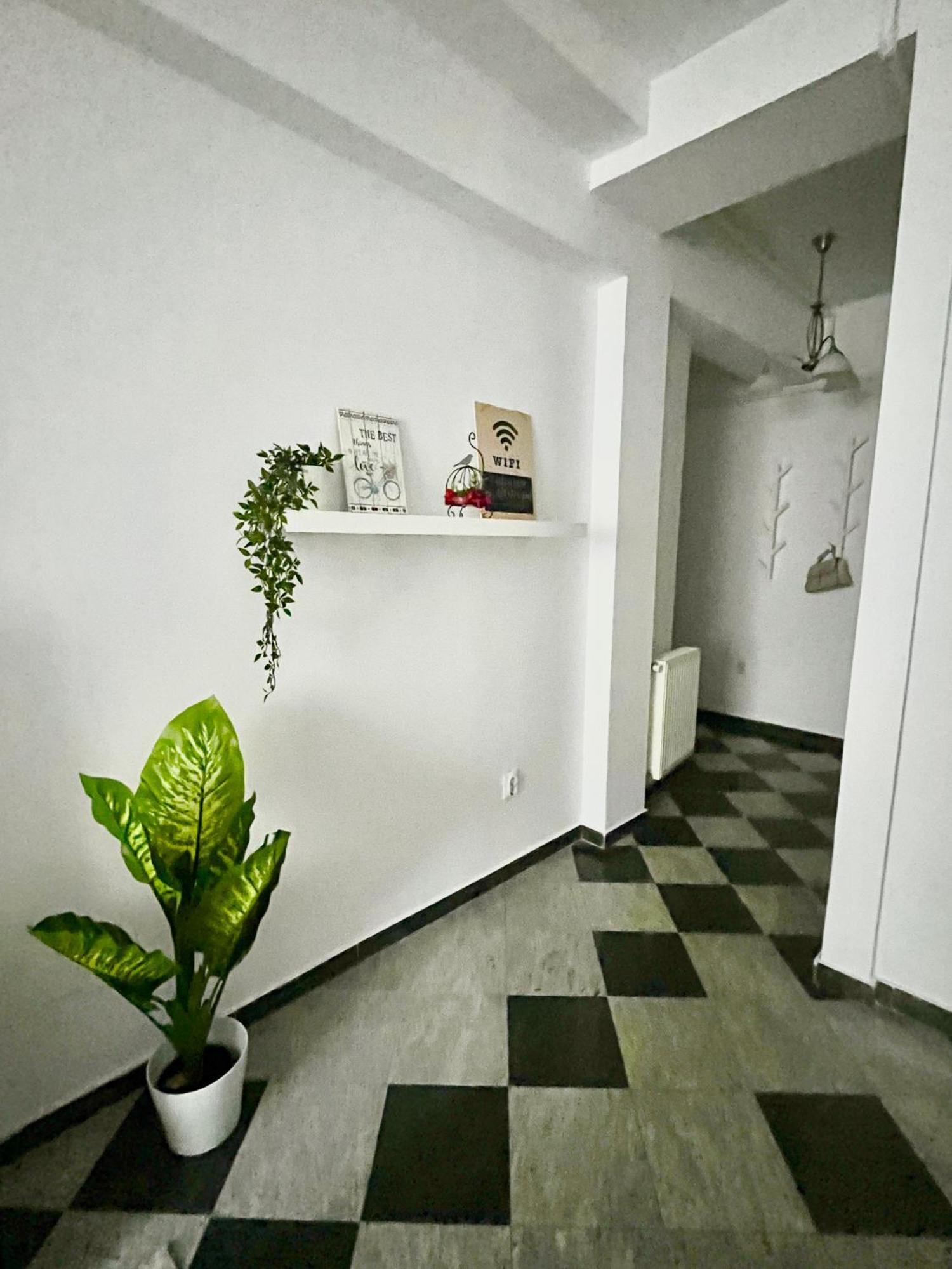 Victoriei Spacious Apartment *