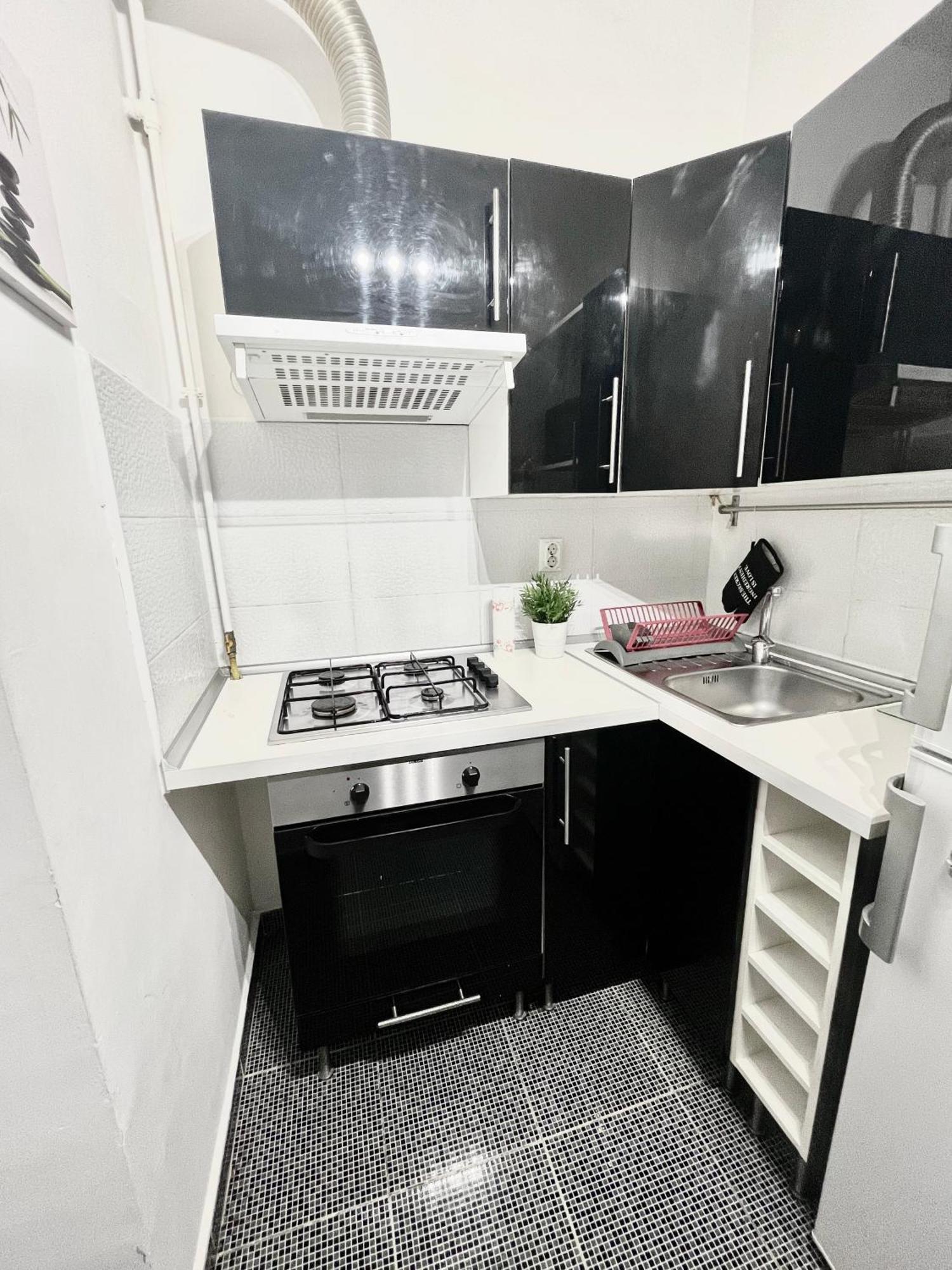 Victoriei Spacious Apartment *