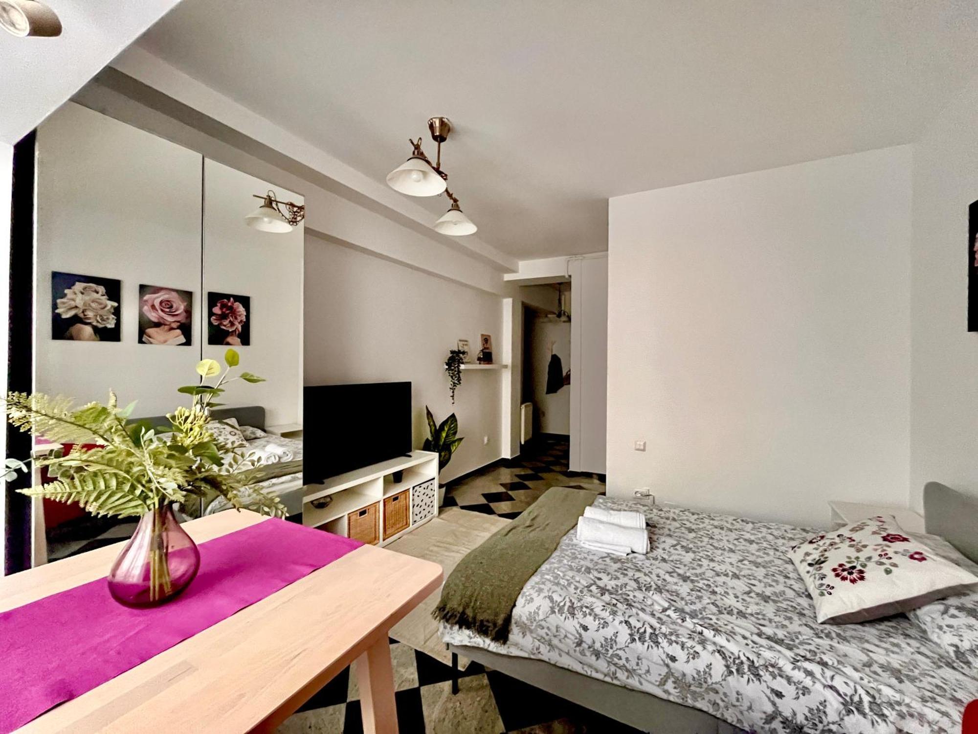 Apartment Victoriei Spacious Bucharest
