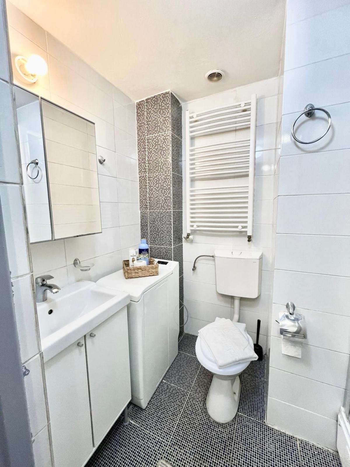 Victoriei Spacious Appartement *